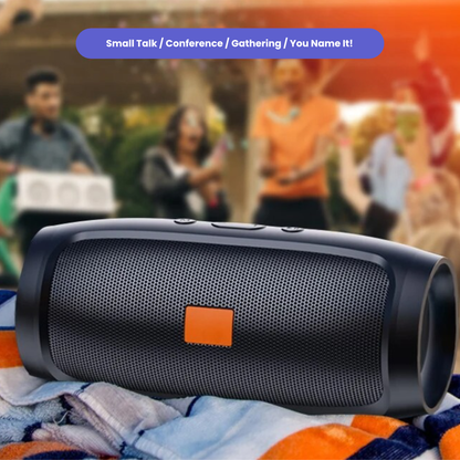 Mobile Bluetooth Soundmate with FM Radio